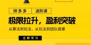 拼多多进阶课：极限拉升/盈利突破：从算法到玩法 从玩法到团队搭建（18节）-KJ分享