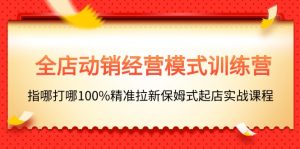 全店动销-经营模式训练营，指哪打哪100%精准拉新保姆式起店实战课程-KJ分享