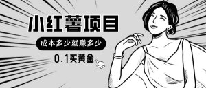 小红薯暴力项目，0.1买黄金。操作简单，日入无上限，可无限扩大。-KJ分享