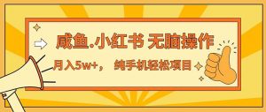 2024最赚钱的项目，咸鱼，小红书无脑操作，每单利润500+，轻松月入5万+…-KJ分享