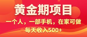 黄金期项目,电商搞钱!一个人,一部手机,在家可做,每天收入500+-KJ分享