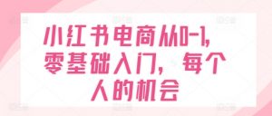 小红书电商从0-1，零基础入门，每个人的机会-KJ分享