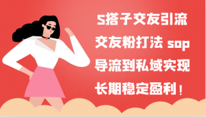 S搭子交友引流，交友粉打法 sop，导流到私域实现长期稳定盈利！-KJ分享