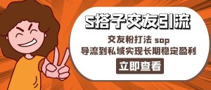某收费888-S搭子交友引流，交友粉打法 sop，导流到私域实现长期稳定盈利-KJ分享