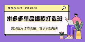 2024拼多多-单品爆款打造班(更新6月),充分应用你的流量,增长实战培训-KJ分享
