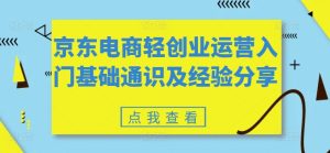 京东电商轻创业运营入门基础通识及经验分享-KJ分享