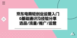 京东电商轻创业运营入门0基础通识及经验分享:选品/流量/推广/运营-KJ分享