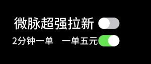 微脉超强拉新, 两分钟1单, 一单利润5块,适合小白-KJ分享