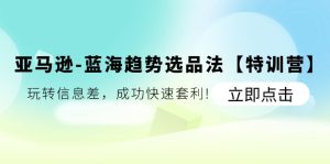 亚马逊蓝海趋势选品法【特训营】:玩转信息差,成功快速套利-KJ分享