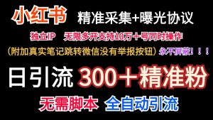 小红薯精准采集+无限曝光+真实笔记跳转微信,永不屏蔽(日引300+精准粉)-KJ分享