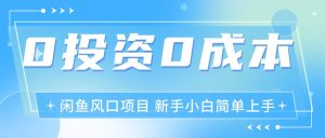 最新风口项目闲鱼空调3.0玩法，月入过万，真正的0成本0投资项目-KJ分享
