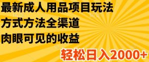 最新成人用品项目玩法，方式方法全渠道，轻松日入2K+-KJ分享