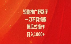 暑假风口项目，短剧推广全新玩法，一刀不剪纯搬运，轻松日入1000+-KJ分享