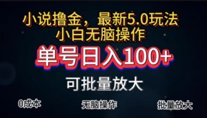 全自动小说撸金，单号日入100+小白轻松上手，无脑操作-KJ分享