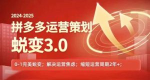 2024-2025拼多多运营策略蜕变3.0，0~1完美蜕变，解决信息焦虑-KJ分享