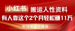 小红书搬运人性资料，有人靠这个2个月轻松赚11w，附教程-KJ分享