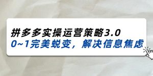 2024-2025拼多多实操运营策略3.0，0~1完美蜕变，解决信息焦虑（38节）-KJ分享
