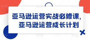 亚马逊运营实战必修课，亚马逊运营成长计划-KJ分享