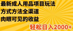 最新成人用品项目玩法，方式方法全渠道，肉眼可见的收益，轻松日入2000+-KJ分享