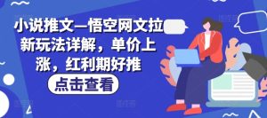 小说推文—悟空网文拉新玩法详解，单价上涨，红利期好推-KJ分享