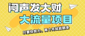 闷声发大财,大流量项目,月收益过3万,只要你努力,两个月就能翻身-KJ分享