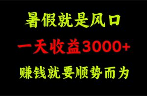 一天收益3000+ 赚钱就是顺势而为，暑假就是风口-KJ分享