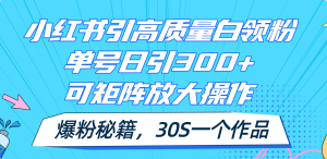 小红书引高质量白领粉，单号日引300+，可放大操作，爆粉秘籍！30s一个作品-KJ分享