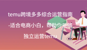 temu跨境多多综合运营指南-适合电商小白,帮助你能够独立运营temu(44节)-KJ分享