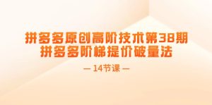 拼多多原创高阶技术第38期,拼多多阶梯提价破量法(14节课)-KJ分享