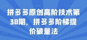 拼多多原创高阶技术第38期,拼多多阶梯提价破量法-KJ分享