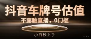 抖音车牌号估值，不露脸直播，0门槛，小白秒上手-KJ分享