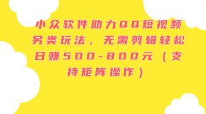 小众软件助力QQ短视频另类玩法，无需剪辑轻松日赚500-800元（支持矩阵…-KJ分享