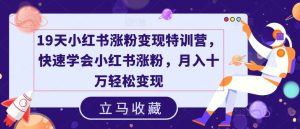 19天小红书涨粉变现特训营，快速学会小红书涨粉，月入十万轻松变现-KJ分享