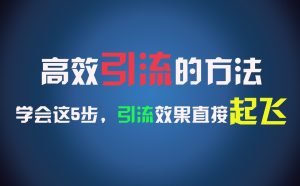 高效引流的方法,可以帮助你日引300+创业粉,一年轻松收入30万,比打工强太多!-KJ分享