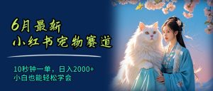 6月最新小红书宠物赛道，10秒钟一单，日入2000+，小白也能轻松学会-KJ分享