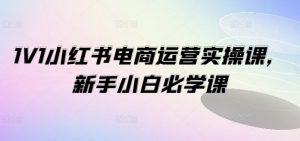 1V1小红书电商运营实操课，新手小白必学课-KJ分享