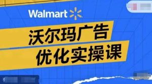 沃尔玛广告优化实操课，广告报告实操讲解，广告如何提高转化和ROAS等-KJ分享