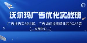 沃尔玛广告优化实战班，广告报告实战讲解，广告如何提高转化和ROAS等-KJ分享