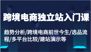 跨境电商独立站入门课：趋势分析/跨境电商前世今生/选品流程/多平台比较/建站演示等-KJ分享