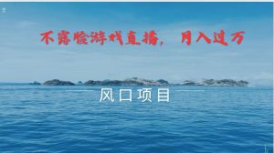 不露脸不出镜，玩转找茬游戏，普通人实现月入过万的好项目-KJ分享