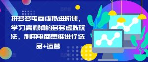 拼多多电商虚拟进阶课，学习高利润的多多虚拟玩法，利用电商思维进行选品+运营-KJ分享