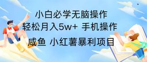 2024热门暴利手机操作项目,简单无脑操作,每单利润最少500-KJ分享
