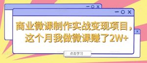 商业微课制作实战变现项目，这个月我做微课赚了2W+-KJ分享