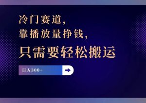 冷门赛道，靠播放量挣钱，只需要轻松搬运，日赚300+-KJ分享