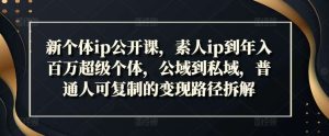 新个体ip公开课，素人ip到年入百万超级个体，公域到私域，普通人可复制的变现路径拆解-KJ分享