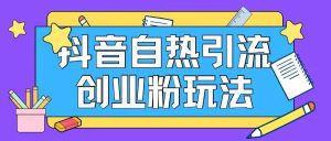 抖音引流创业粉自热玩法日引200+精准粉-KJ分享