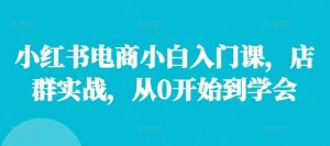 小红书电商小白入门课,店群实战,从0开始到学会-KJ分享
