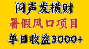 30天赚了7.5W 暑假风口项目，比较好学，2天左右上手-KJ分享