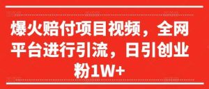 爆火赔付项目视频，全网平台进行引流，日引创业粉1W+【揭秘】-KJ分享
