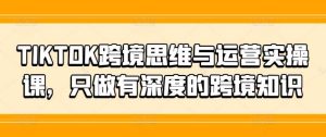 TIKTOK跨境思维与运营实操课,只做有深度的跨境知识-KJ分享